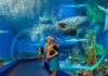 Aquarium Names, Best Aquarium Brand Names Ideas