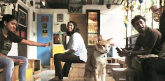 Cool and Best Cat Cafe Names Ideas & Suggestion