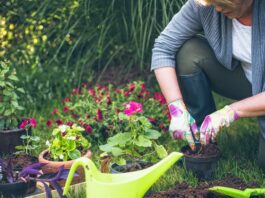 Nursery Names, Catchy Names for Gardening Business