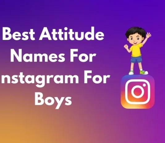 Best Attitude Names For Instagram For Boys