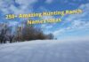 250+ Amazing Hunting Ranch Names Ideas