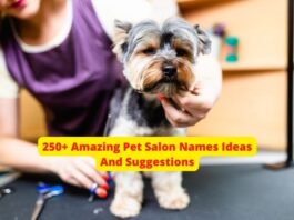 250+ Amazing Pet Salon Names Ideas And Suggestions
