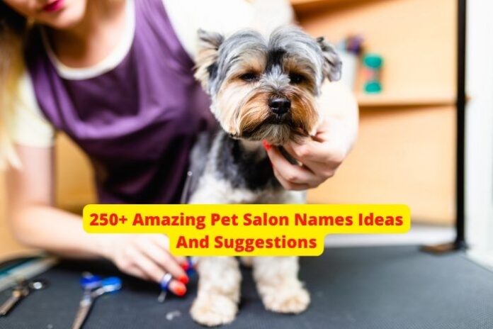 250+ Amazing Pet Salon Names Ideas And Suggestions