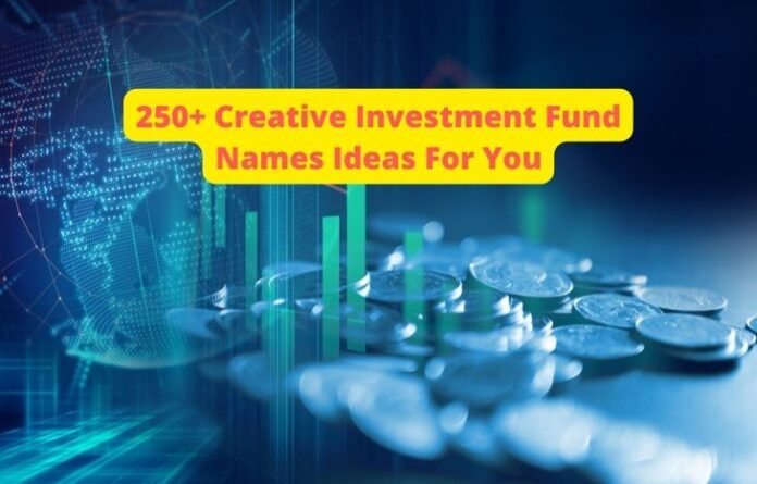 250+ Creative Investment Fund Names Ideas For You