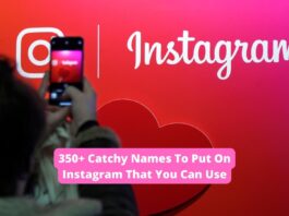 350+ Catchy Names To Put On Instagram That You Can Use