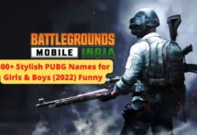 300+ Unique PUBG Names for Girls & Boys (2022) Funny, Stylish