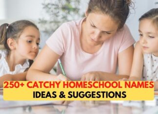 250+ Catchy Homeschool Names Ideas & Suggestions