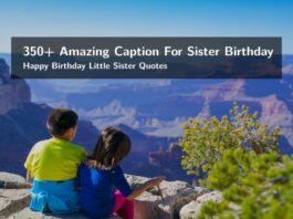 350+ Amazing Caption For Sister Birthday | Happy Birthday Little Sister Quotes