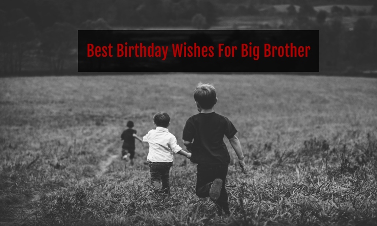 Best Birthday Wishes For Big Brother
