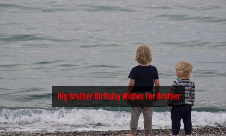 Big Brother Birthday Wishes For Brother