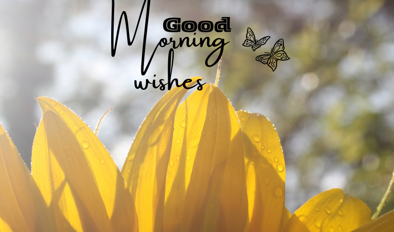 Good Morning Wishes New In Hindi for Love - Real Mobi Web
