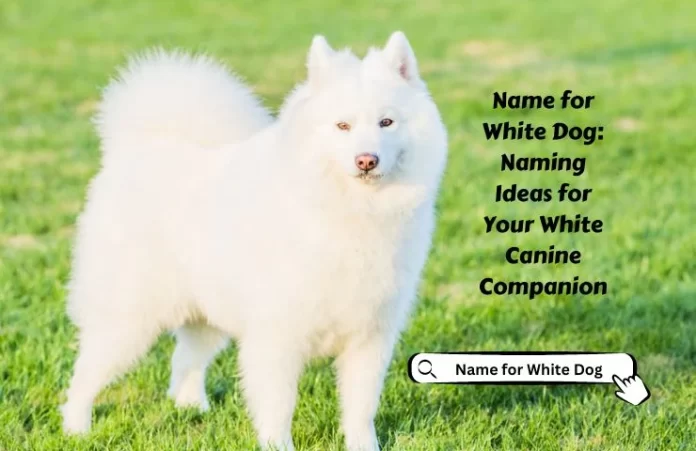 Name for White Dog