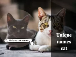 unique names cat