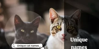 unique names cat