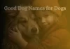 Good Dog name for dog