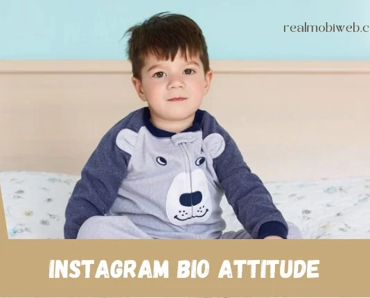 Instagram Bio Attitude