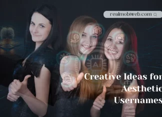 Creative Ideas for Aesthetic Usernames